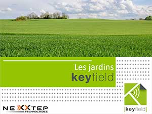 Keyfield