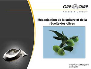 olives