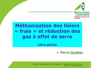 Lisier frais