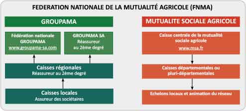 mutualité