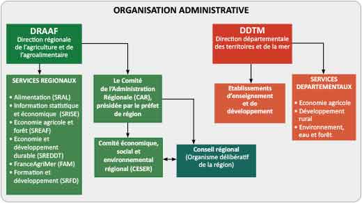 organisation administrative