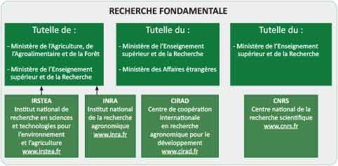 recherche fondamentale